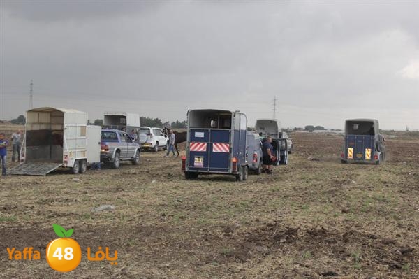 khoyoul lud 0610 (57).JPG